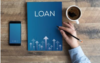 Decoding the Structure of Business Loans